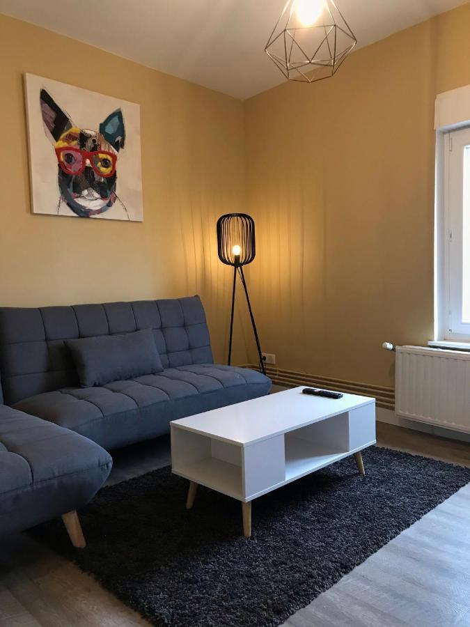 Confort - Nancy Centre - Chambre - Salle De Sport - 45 M2 エクステリア 写真